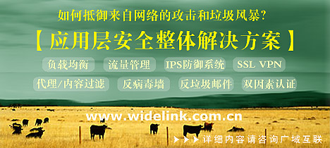 Multi-Homing需求分析